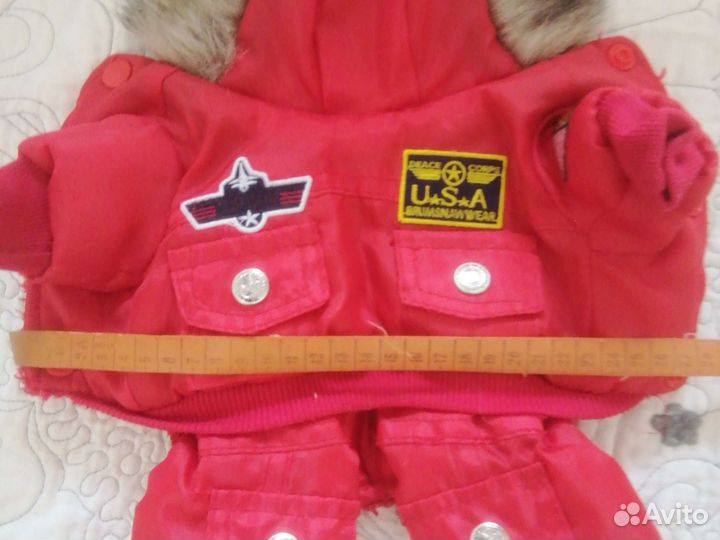 Одежда для собак мелких пород