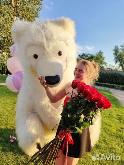 Курьер Белый медведь. Аниматор, поздравление