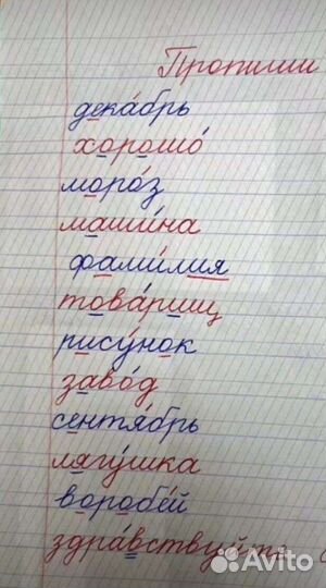 Каллиграфия