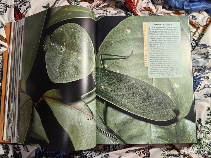 Книга о природе, Reader's Digest (раритет)