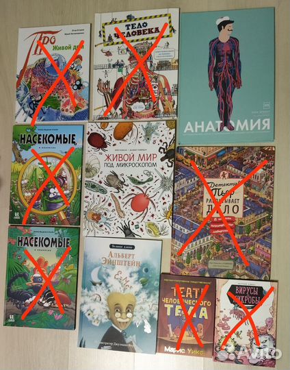 Анатомия. Живой мир под микроскопом. Эйнштейн