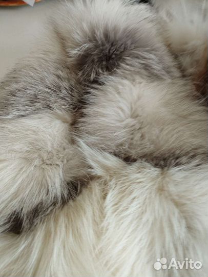 Остатки меха