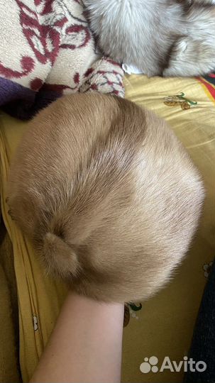 Шапка норковая женская