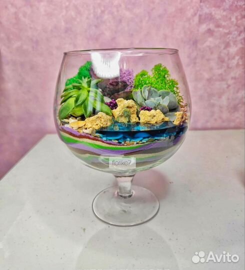 Флорариум для дома и дачи