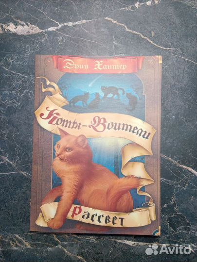 Коты воители второй цикл