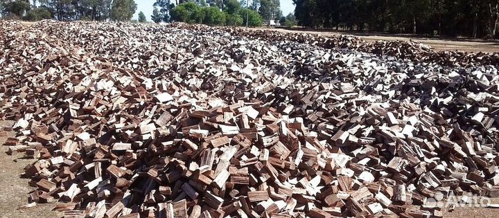 Дрова Береза