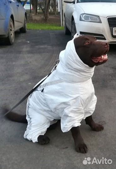 Комбинезон для собак (Унисекс)