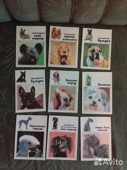 Открытки ссср,гдр 