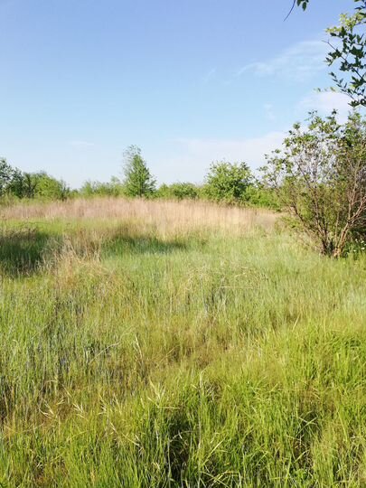 Участок 14,7 сот. (СНТ, ДНП)