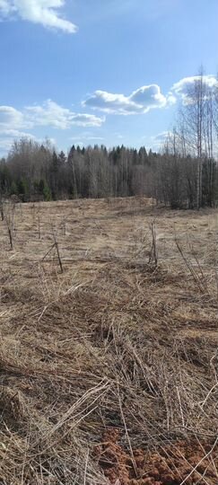 Участок 13 сот. (ИЖС)