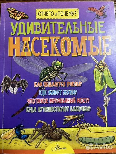 Удивительные насекомые.