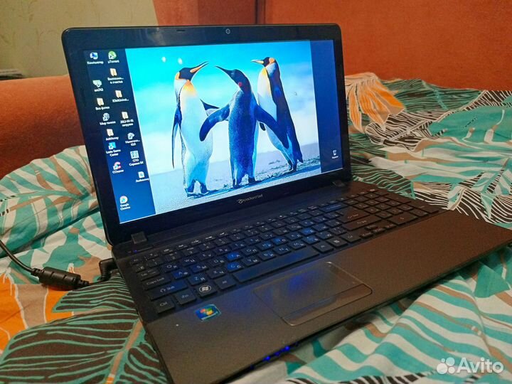 Ноутбук packard bell
