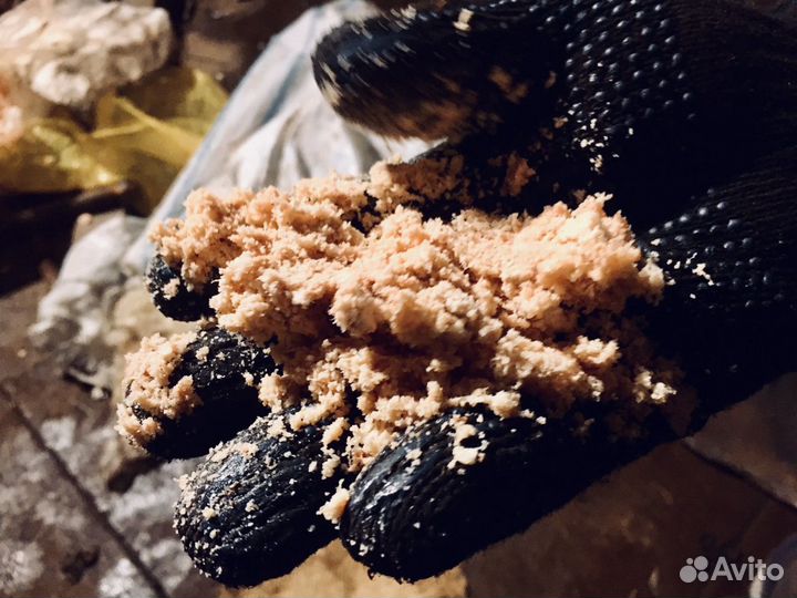 Измельчитель костей костедробилка