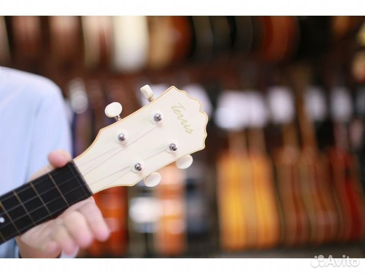 Terris plus CAT укулеле сопрано