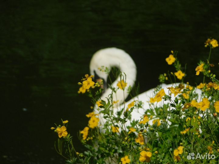 Фотоаппарат Nikon Coolpix B500