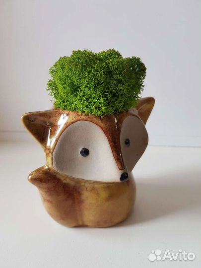 Горшочки (кашпо) со мхом или растениями