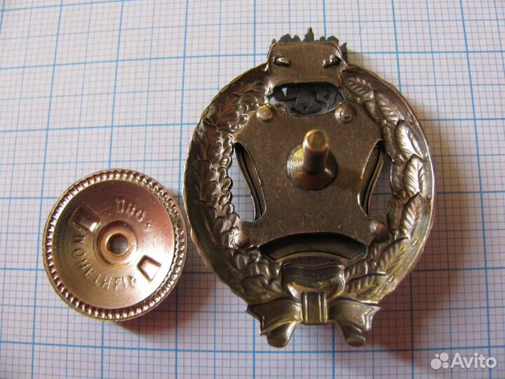 Заслуженный блогер Российской Федерации