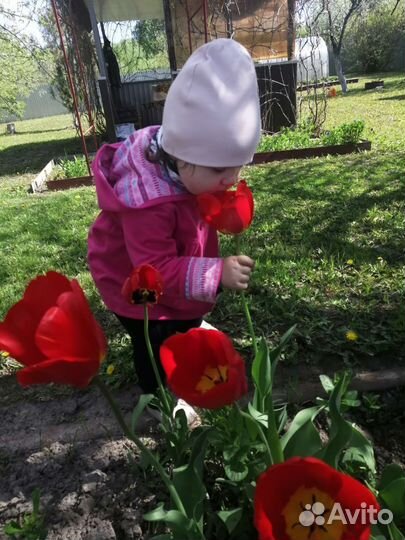 Пальто для девочки 86