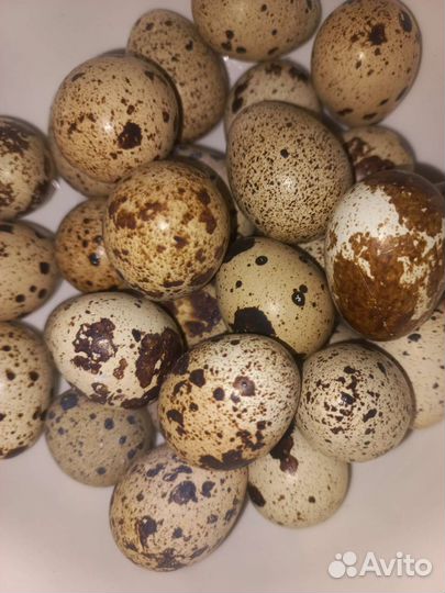 Козье молоко