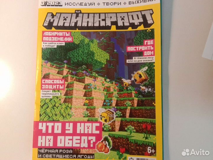 Журнал по игре - Minecraft