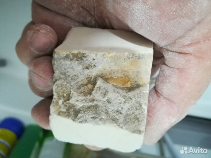 Кома чу нагура