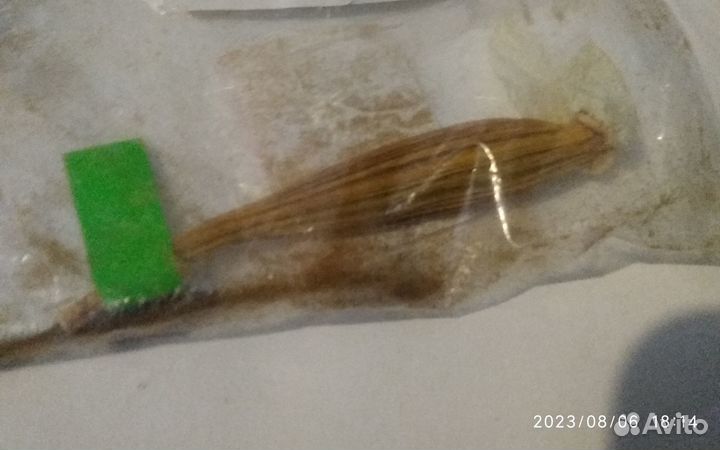 Семена орхидеи фаленопсис