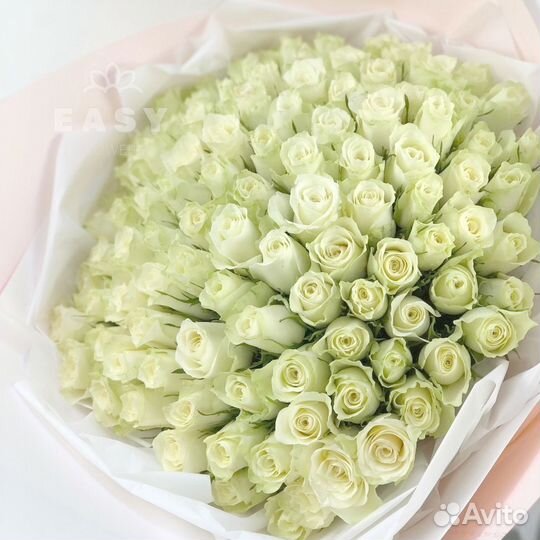 101 Роза Цветы