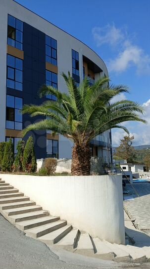 1-к. апартаменты, 36,3 м², 3/5 эт.