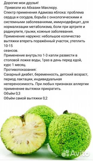 Экстракт Маклюра (адамово яблоко)