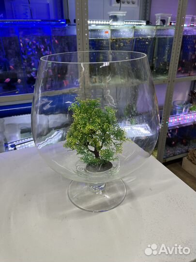Аквариум круглый