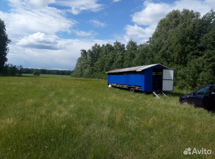 Продаётся пасека