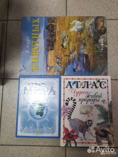 Детское. Интересное