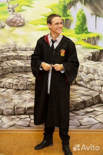 Костюм Гарри Поттера взрослый