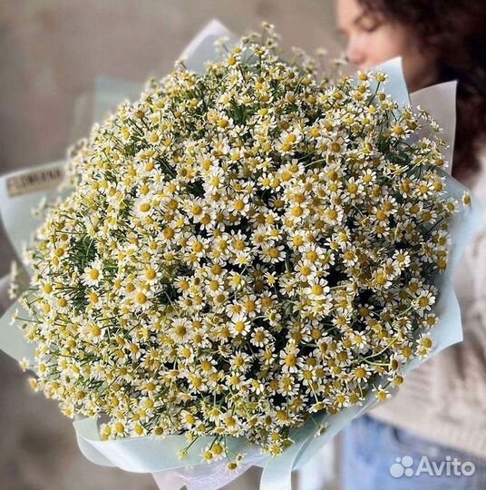 Цветы ромашки. Букеты ромашек. Цветы доставка