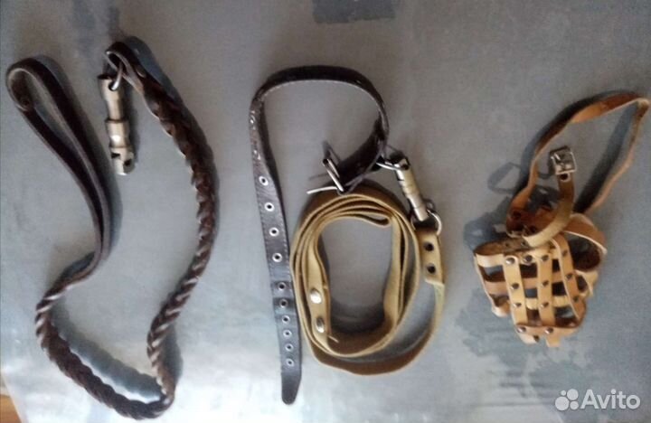 Поводок, ошейник, кожа. Пуходер для собаки