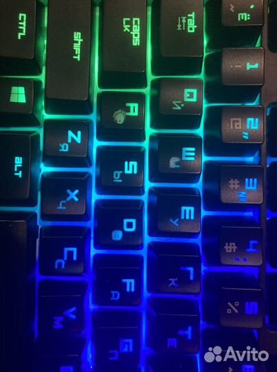 Razer blackwidow tournament edition chroma