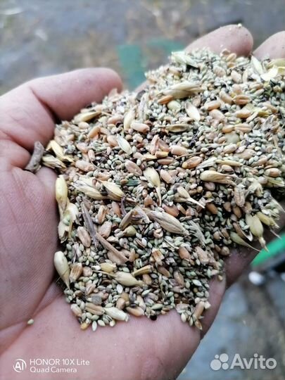 Зерноотходы