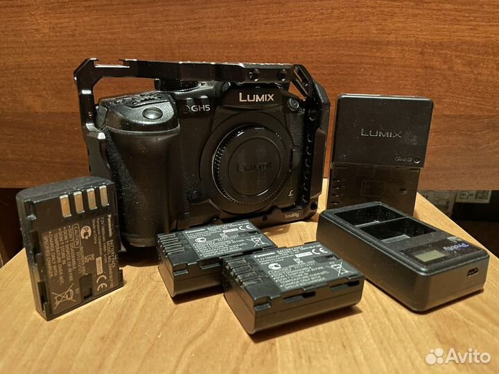 Panasonic lumix GH5