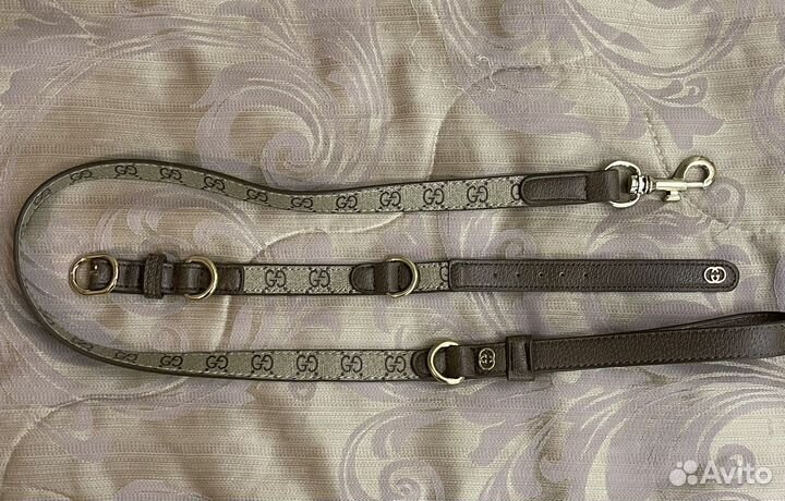 Ошейник для собак поводок gucci