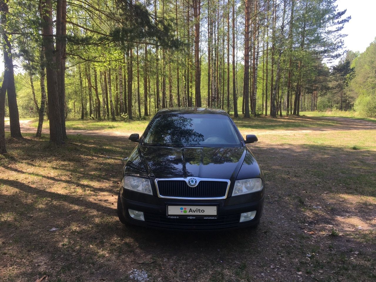 Skoda Octavia: фото владельца