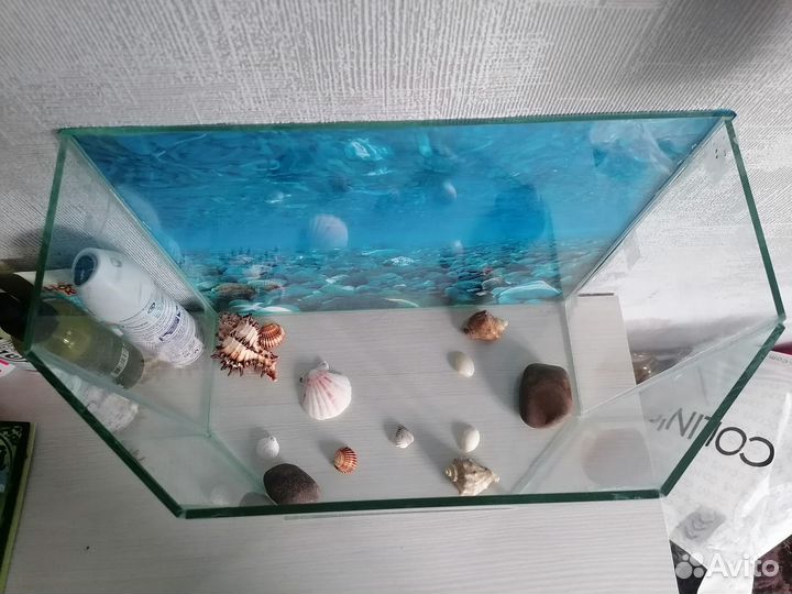 Аквариум