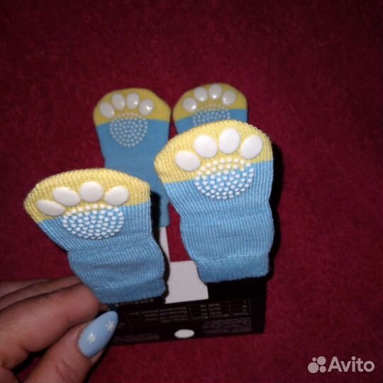 Носочки для маленькой собачки