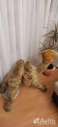 Верблюд для дома, кафе - кальянов