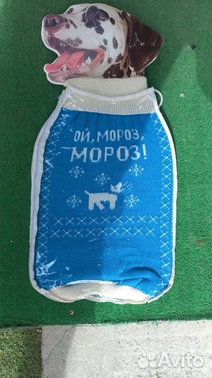 Одежда для большой собаки