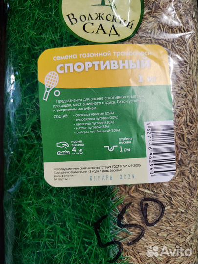 Газонная трава