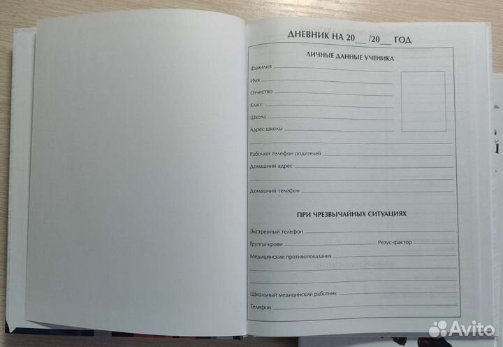 Дневник школьный