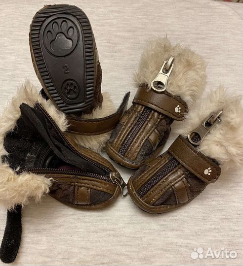 Ботинки для небольших собак