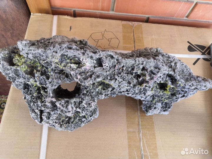 Для аквариума