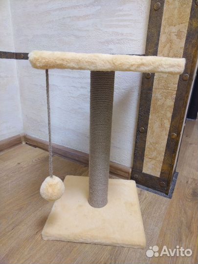 Когтеточка для кошек