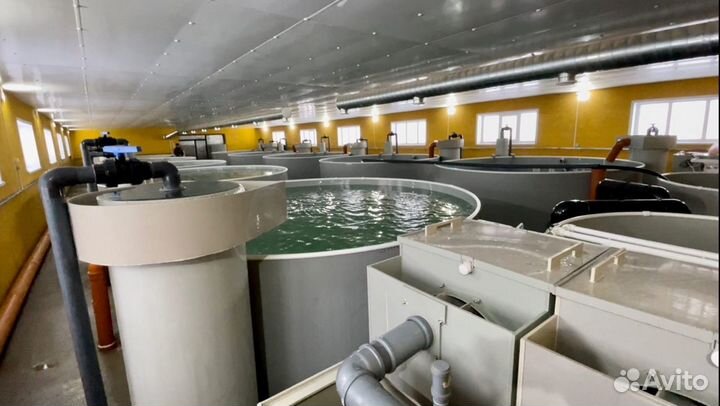 Строительство узв